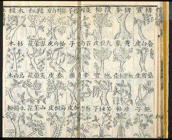 Livro chinês Pen Tsao, escrito por volta 2.700 antes de Cristo, considerada a primeira farmacopeia da História sugere o uso de maconha medicinal